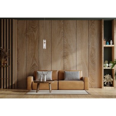 Pakabinamas šviestuvas Taraso PND-40760-1-HBR 1