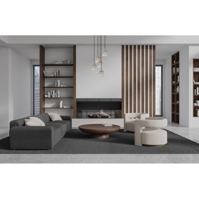Pakabinamas šviestuvas Torno PND-40813-5R-BK-HBR 1