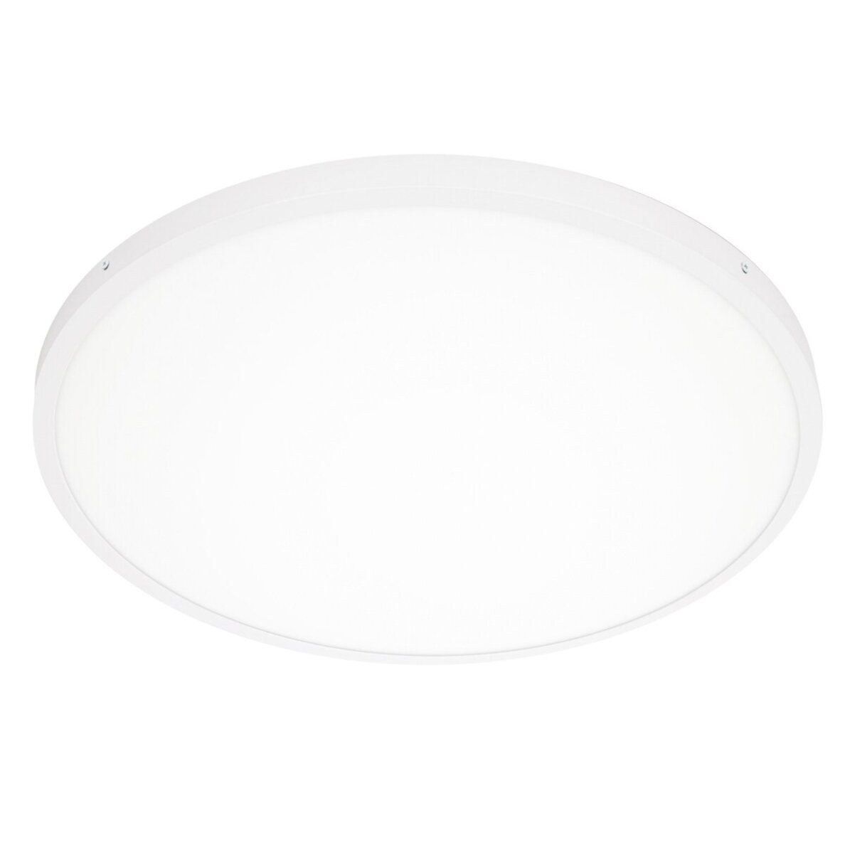 Pelaro PLF-7001-600R-WH-3K modernus LED plafonas, baltas, 60 cm Pelaro PLF-7001-600R-WH-3K modernus LED plafonas, baltas, 60 cm