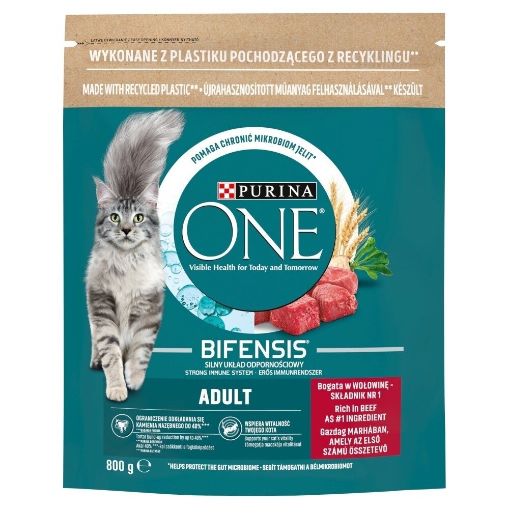 PURINA One Bifensis Adult Beef - sausas kačių ėdalas su jautiena - 800 g