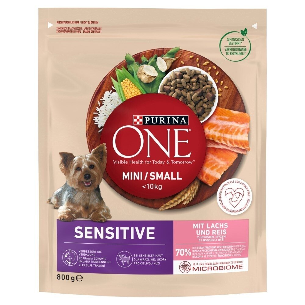 PURINA One Mini/Small Sensitive lašiša, ryžiai - sausas šunų ėdalas - 800 g