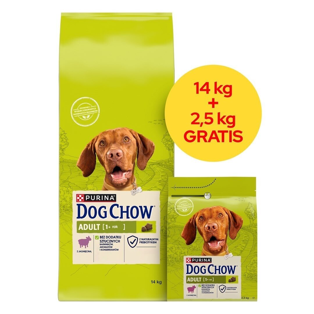 PURINA Dog Chow Adult Lamb - sausas šunų ėdalas - 14 + 2,5 kg