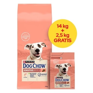 PURINA Dog Chow Sensitive Salmon - sausas šunų ėdalas - 14 + 2,5 kg