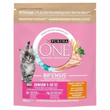 PURINA One Bifensis Junior - sausas kačių ėdalas - 800 g
