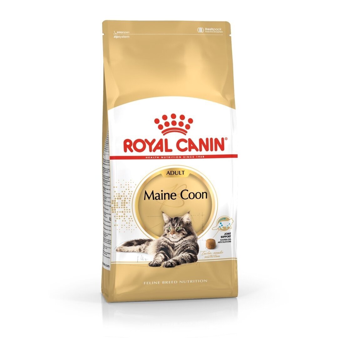 „Royal Canin FBN Maine Coon Adult“ – sausas ėdalas suaugusioms katėms – 4 kg