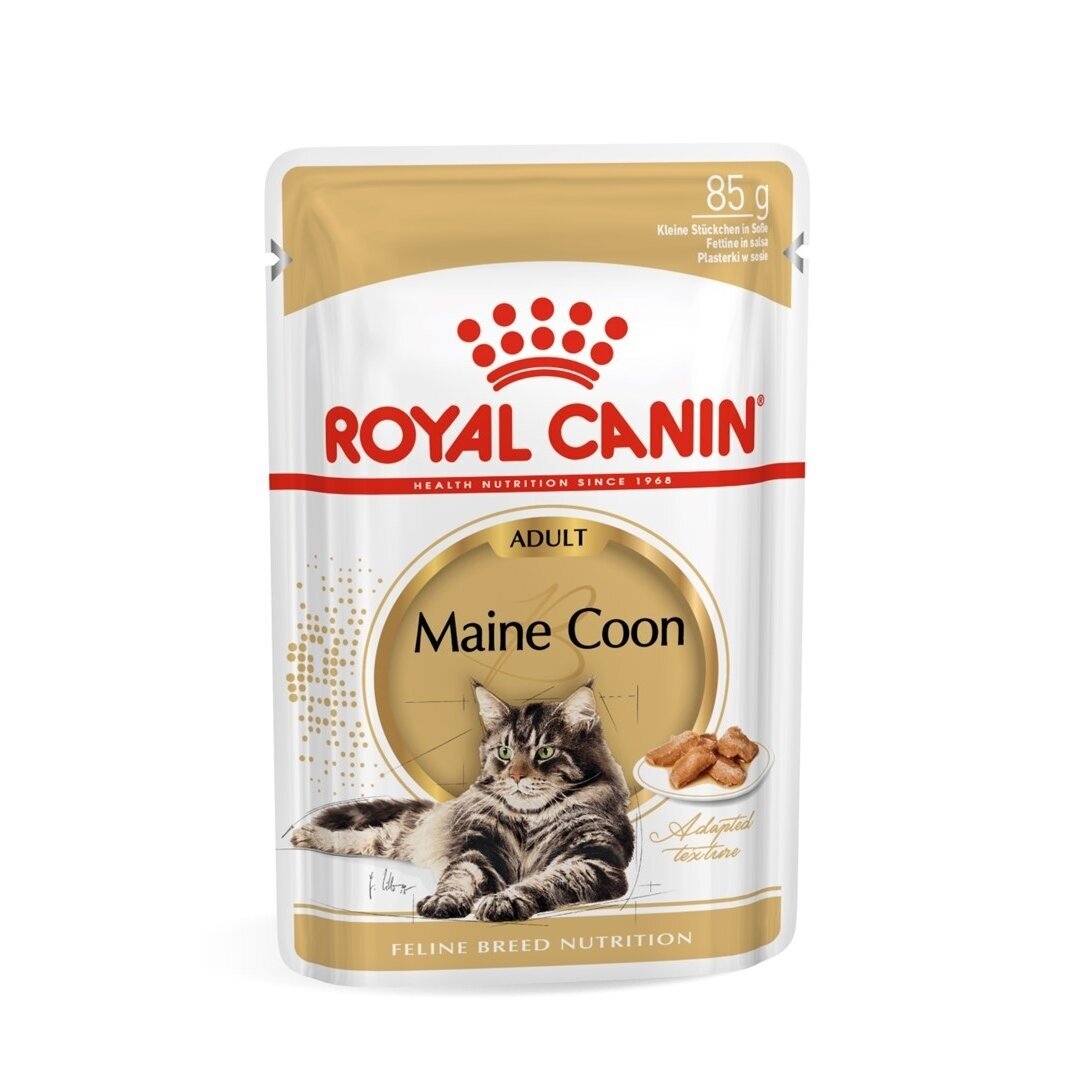 ROYAL CANIN FBN Meino meškėnų kačių šlapias ėdalas - pakeliai 12 x 85 g ROYAL CANIN FBN Meino meškėnų kačių šlapias ėdalas - pakeliai 12 x 85 g