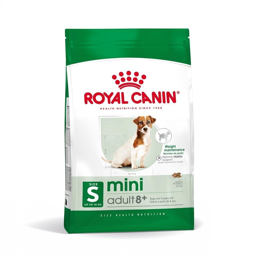 „Royal Canin Mini Adult 8+“ 8 kg sausas sausas maistas senjorams, paukštienai, ryžiams ir daržovėms. „Royal Canin Mini Adult 8+“ 8 kg sausas sausas maistas senjorams, paukštienai, ryžiams ir daržovėms.
