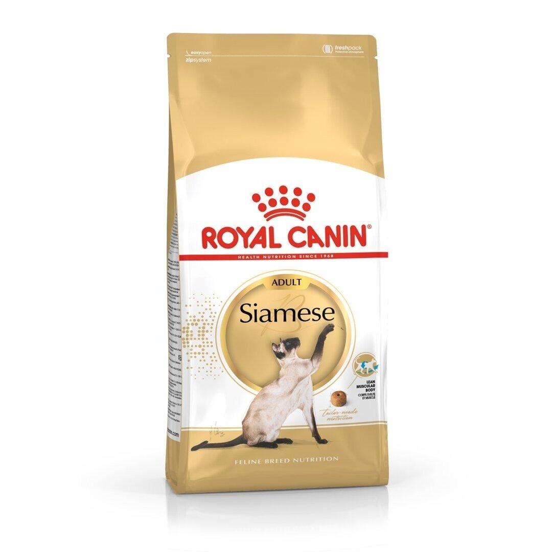ROYAL CANIN Siamese Adult - sausas kačių ėdalas - 2 kg