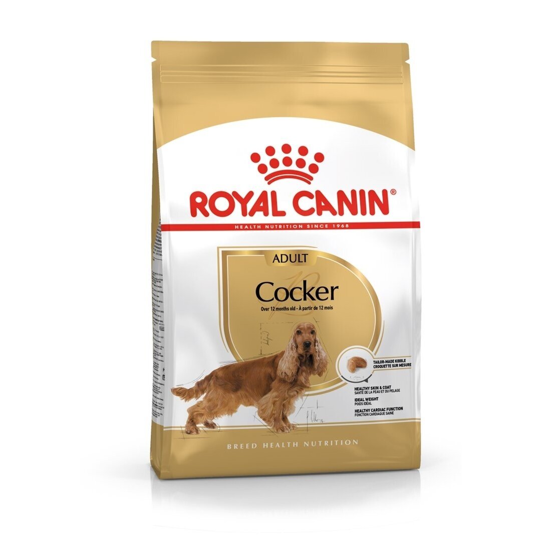 ROYAL CANIN suaugusių kokerspanielių sausas šunų ėdalas – 12 kg ROYAL CANIN suaugusių kokerspanielių sausas šunų ėdalas – 12 kg
