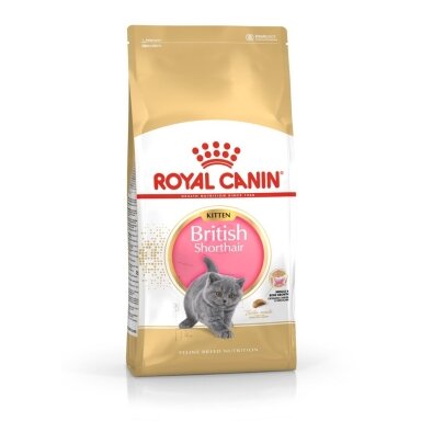 Royal Canin British Shorthair Kitten sausas kačių maistas 2 kg su paukštiena, ryžiais, daržovėmis