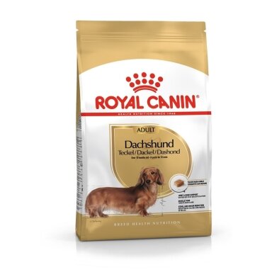 ROYAL CANIN Dachshund Adult - sausas šunų ėdalas - 7,5 kg