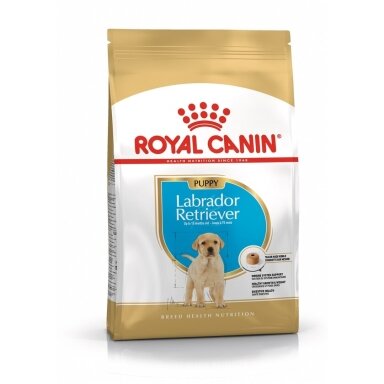 ROYAL CANIN SHN Breed Labrador Junior sausas šunų maistas - 12 kg