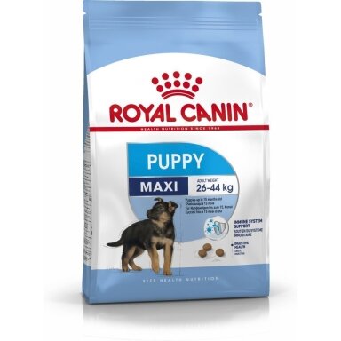 Royal Canin SHN Maxi Puppy - sausas šuniukų maistas - 4 kg