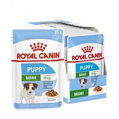 ROYAL CANIN SHN Mini Puppy padaže - šlapias šuniukų ėdalas - 12 x 85 g