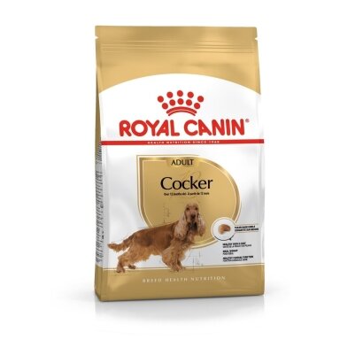 ROYAL CANIN suaugusių kokerspanielių sausas šunų ėdalas – 12 kg