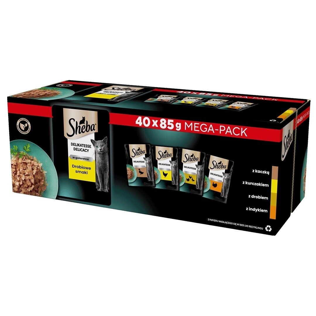SHEBA Delicacy paukštienos skoniai žele – drėgnas maistas suaugusioms katėms – 40 x 85 g SHEBA Delicacy paukštienos skoniai žele – drėgnas maistas suaugusioms katėms – 40 x 85 g