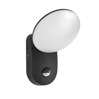 Sieninis Lauko Šviestuvas Monti 6214-S D-sensor 4K OWL-6214-S-4K