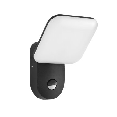 Sieninis Lauko Šviestuvas Nammi 6206-S D-sensor 4K OWL-6206-S-4K