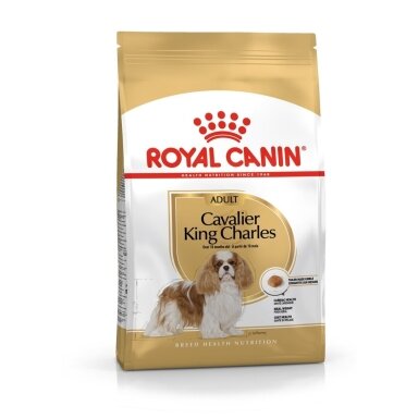 Šunų ėdalas Royal Canin SHN Breed Cavalier K C 1,5 kg