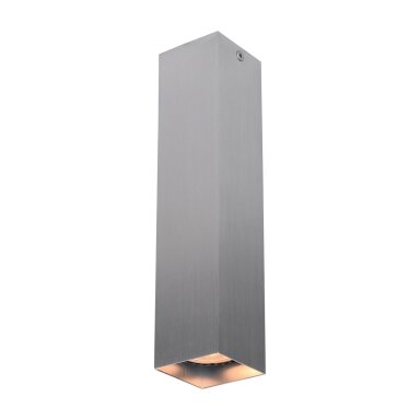 Taškinis Šviestuvas Ander CLN-28394-L-ALU