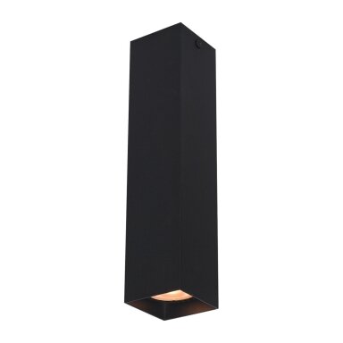 Taškinis Šviestuvas Ander CLN-28394-L-BK