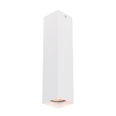 Taškinis Šviestuvas Ander CLN-28394-L-WH