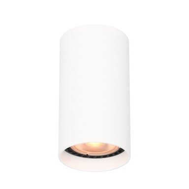 Taškinis Šviestuvas Lopus CLN-48930-S-WH