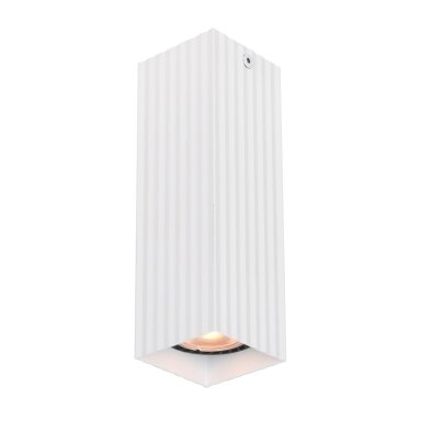 Taškinis Šviestuvas Tecno CLN-37492-M-WH