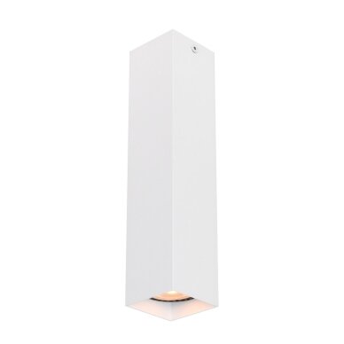 Taškinis Šviestuvas Ander CLN-28394-L-WH