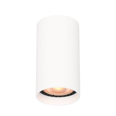 Taškinis Šviestuvas Lopus CLN-48930-S-WH