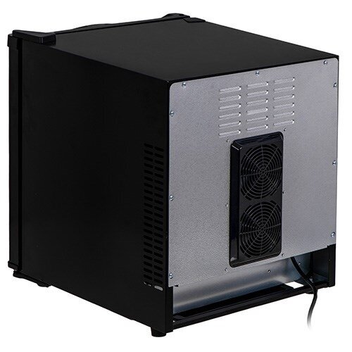Termoelektrinis šaldytuvas ADLER AD 8089, juodas 3